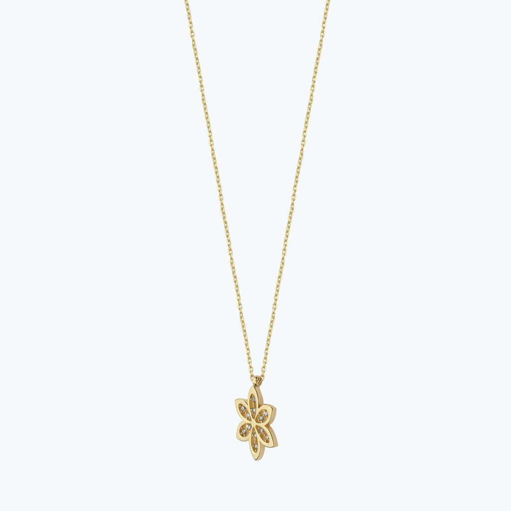 KLAZN0898-25825