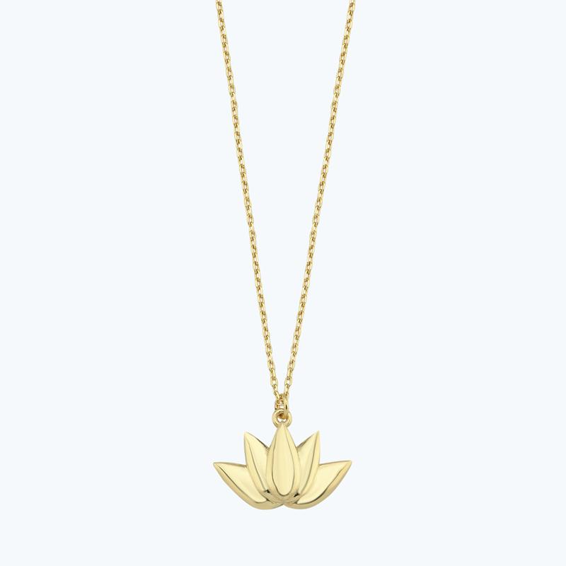 Lotus Goldkette