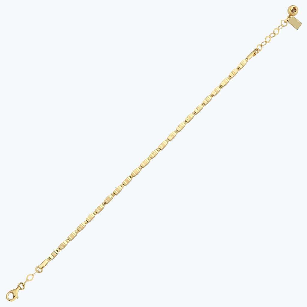 BLEM145-25646